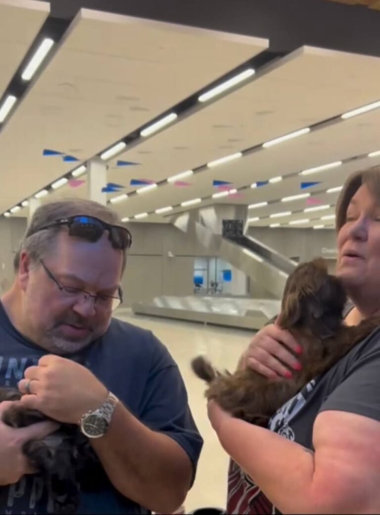 Sarah & Mike Ellison with their Shih Tzu puppy from Royal Puff Paw Shihtzu